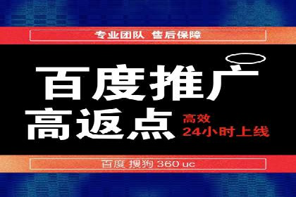 百度竞价账户托管的技巧与策略：从入门到精通的案例解析