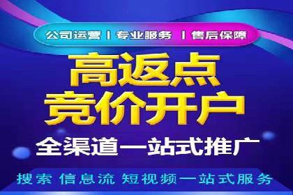 SEM广告投放的精准定位与优化案例